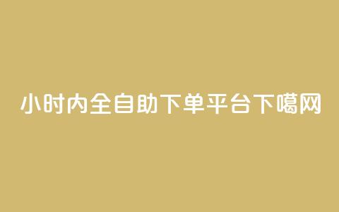 24小时内全自助下单平台  第1张