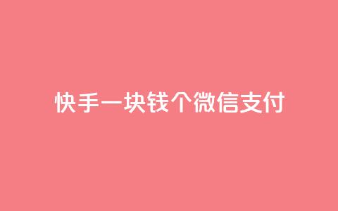 快手一块钱100个微信支付,刷粉黑科技涨粉工具 - 24小时自助下单云商城 云小店24小时自助下单  第1张