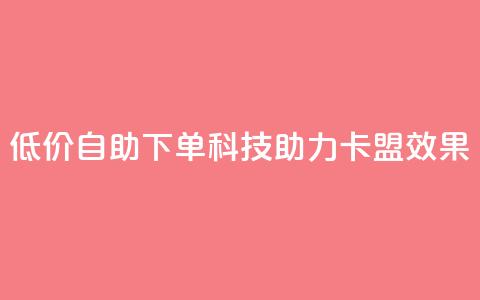 低价自助下单科技助力卡盟SEO效果 第1张 低价自助下单科技助力卡盟SEO效果 第1张