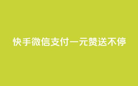 快手微信支付:一元赞送不停  第1张 快手微信支付:一元赞送不停  第1张