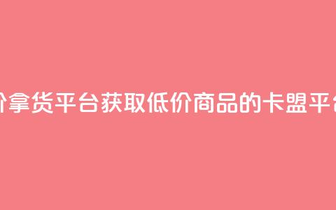 卡盟低价拿货平台 - 获取低价商品的卡盟平台~  第1张