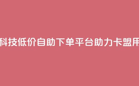 卡盟低价自助下单科技 - 低价自助下单平台助力卡盟用户轻松购买！  第1张