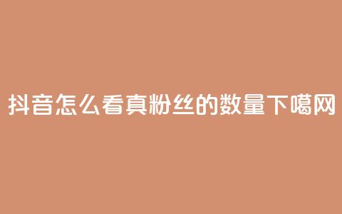 抖音怎么看真粉丝的数量  第1张