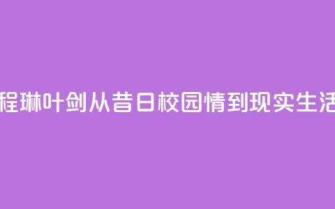程琳叶剑：从昔日校园情到现实生活  第1张