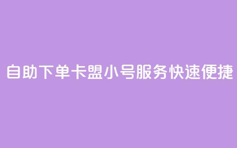 自助下单卡盟小号服务快速便捷  第1张