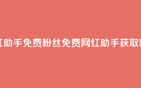 网红助手免费粉丝(免费网红助手获取粉丝)  第1张