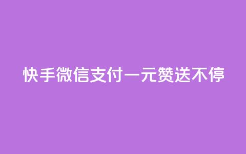 快手微信支付：一元赞送不停  第1张