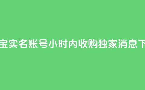 支付宝实名账号24小时内收购--独家消息 第1张 支付宝实名账号24小时内收购--独家消息 第1张