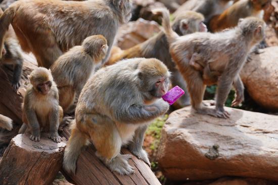 暑运期间高铁列车长的工作日常 第10张 暑运期间高铁列车长的工作日常 第10张