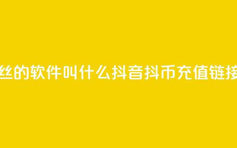 快手增丝的软件叫什么 - 抖音抖币1:10充值链接  第1张