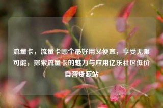流量卡,流量卡哪个最好用又便宜,享受无限可能,探索流量卡的魅力与应用亿乐社区低价自营货源站