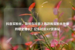 抖音买粉丝,如何在抖音上高效购买粉丝并保持稳定增长?亿乐社区SUP货源站