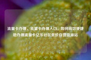 流量卡办理,流量卡办理入口,如何高效便捷地办理流量卡亿乐社区低价自营货源站