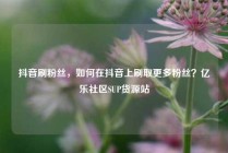 抖音刷粉丝，如何在抖音上刷取更多粉丝？亿乐社区SUP货源站