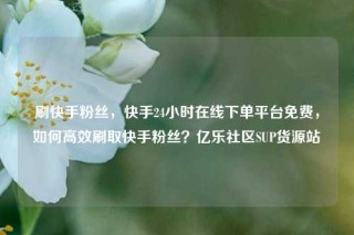 刷快手粉丝,快手24小时在线下单平台免费,如何高效刷取快手粉丝?亿乐社区SUP货源站