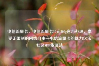 电信流量卡，电信流量卡19元200g官方办理，享受无限制的网络自由—电信流量卡的魅力亿乐社区SUP货源站