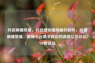 抖音刷播放量,抖音增加播放量的软件,抖音刷播放量,揭秘平台黑手背后的真相亿乐社区SUP货源站