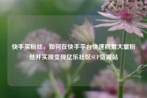 快手买粉丝,如何在快手平台快速积累大量粉丝并实现变现亿乐社区SUP货源站