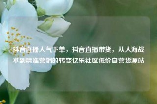 抖音直播人气下单,抖音直播带货,从人海战术到精准营销的转变亿乐社区低价自营货源站