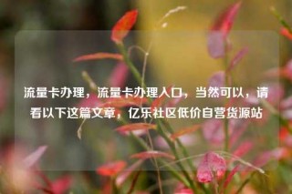 流量卡办理,流量卡办理入口,当然可以,请看以下这篇文章,亿乐社区低价自营货源站