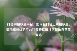 抖音刷播放量平台,如何在抖音上刷播放量,揭秘高收益的平台和策略亿乐社区低价自营货源站