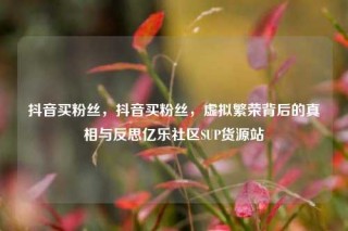 抖音买粉丝,抖音买粉丝,虚拟繁荣背后的真相与反思亿乐社区SUP货源站