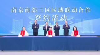 下辖各区密集“联手”，南京在下一盘什么样的棋？