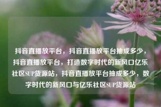 抖音直播放平台,抖音直播放平台抽成多少,抖音直播放平台,打造数字时代的新风口亿乐社区SUP货源站,抖音直播放平台抽成多少,数字时代的新风口与亿乐社区SUP货源站