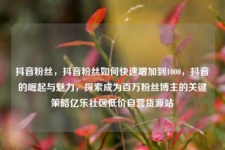 抖音粉丝,抖音粉丝如何快速增加到1000,抖音的崛起与魅力,探索成为百万粉丝博主的关键策略亿乐社区低价自营货源站