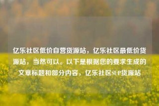 亿乐社区低价自营货源站,亿乐社区最低价货源站,当然可以。以下是根据您的要求生成的文章标题和部分内容,亿乐社区SUP货源站