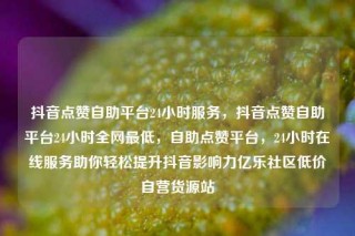 抖音点赞自助平台24小时服务,抖音点赞自助平台24小时全网最低,自助点赞平台,24小时在线服务助你轻松提升抖音影响力亿乐社区低价自营货源站
