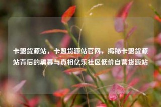 卡盟货源站,卡盟货源站官网,揭秘卡盟货源站背后的黑幕与真相亿乐社区低价自营货源站