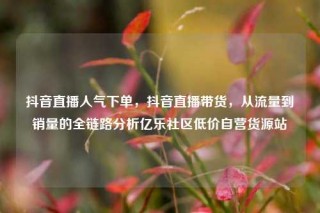 抖音直播人气下单,抖音直播带货,从流量到销量的全链路分析亿乐社区低价自营货源站