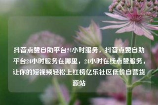 抖音点赞自助平台24小时服务,抖音点赞自助平台24小时服务在哪里,24小时在线点赞服务,让你的短视频轻松上红榜亿乐社区低价自营货源站