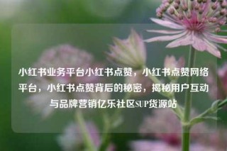 小红书业务平台小红书点赞,小红书点赞网络平台,小红书点赞背后的秘密,揭秘用户互动与品牌营销亿乐社区SUP货源站