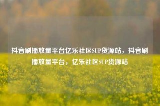 抖音刷播放量平台亿乐社区SUP货源站,抖音刷播放量平台,亿乐社区SUP货源站