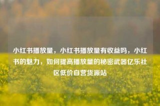 小红书播放量,小红书播放量有收益吗,小红书的魅力,如何提高播放量的秘密武器亿乐社区低价自营货源站