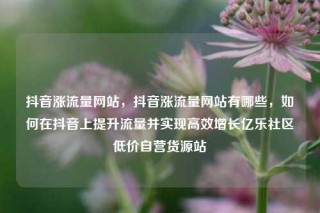 抖音涨流量网站，抖音涨流量网站有哪些，如何在抖音上提升流量并实现高效增长亿乐社区低价自营货源站