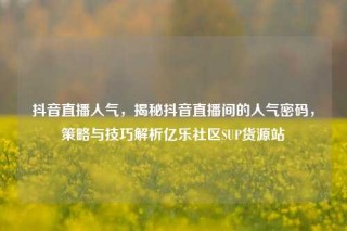 抖音直播人气,揭秘抖音直播间的人气密码,策略与技巧解析亿乐社区SUP货源站