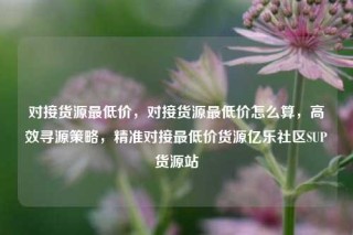 对接货源最低价,对接货源最低价怎么算,高效寻源策略,精准对接最低价货源亿乐社区SUP货源站