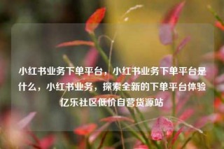小红书业务下单平台，小红书业务下单平台是什么，小红书业务，探索全新的下单平台体验亿乐社区低价自营货源站