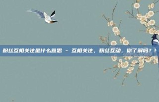 粉丝互相关注是什么意思 - 互相关注，粉丝互动，你了解吗？!