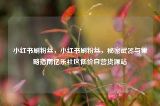 小红书刷粉丝,小红书刷粉丝,秘密武器与策略指南亿乐社区低价自营货源站