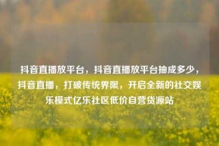 抖音直播放平台,抖音直播放平台抽成多少,抖音直播,打破传统界限,开启全新的社交娱乐模式亿乐社区低价自营货源站