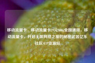 移动流量卡,移动流量卡29元300g全国通用,移动流量卡,开启无限网络之旅的秘密武器亿乐社区SUP货源站