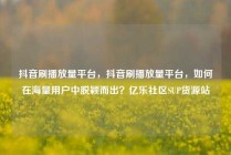 抖音刷播放量平台,抖音刷播放量平台,如何在海量用户中脱颖而出?亿乐社区SUP货源站