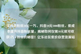 买抖音粉丝10元一万,抖音10元1000粉丝,低成本提升抖音粉丝量,揭秘如何仅需10元就可收获1万+粉丝的秘密!亿乐社区低价自营货源站