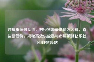 对接货源最低价,对接货源最低价怎么算,直达最低价,揭秘高效供应链与市场策略亿乐社区SUP货源站