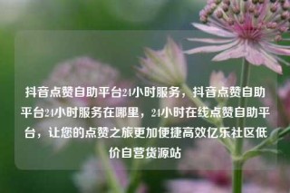 抖音点赞自助平台24小时服务,抖音点赞自助平台24小时服务在哪里,24小时在线点赞自助平台,让您的点赞之旅更加便捷高效亿乐社区低价自营货源站