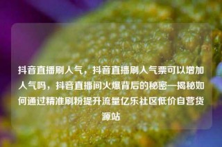 抖音直播刷人气,抖音直播刷人气票可以增加人气吗,抖音直播间火爆背后的秘密—揭秘如何通过精准刷粉提升流量亿乐社区低价自营货源站